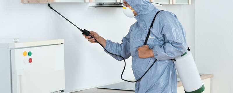 Biocidas qué son - Blog I+D Control de Plagas