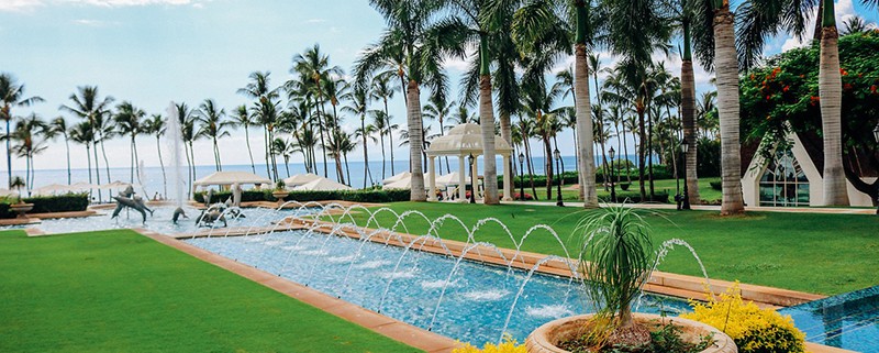 Inspección, desinfección, y limpieza