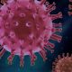 Desinfecta tu casa de Coronavirus